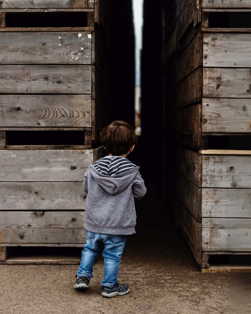 KINANAN MERAK SAPLANTI HALİNE GELİR