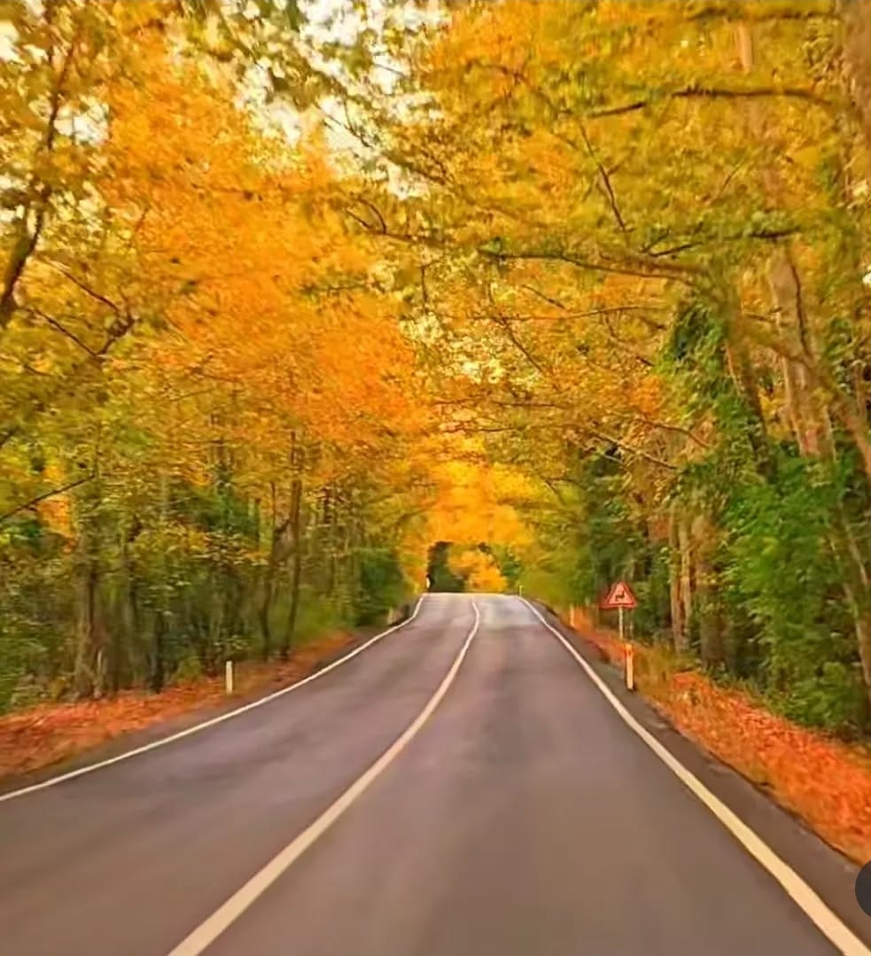 YOLCULUK VE SONBAHARIN SESSİZ ÖĞRETİSİ